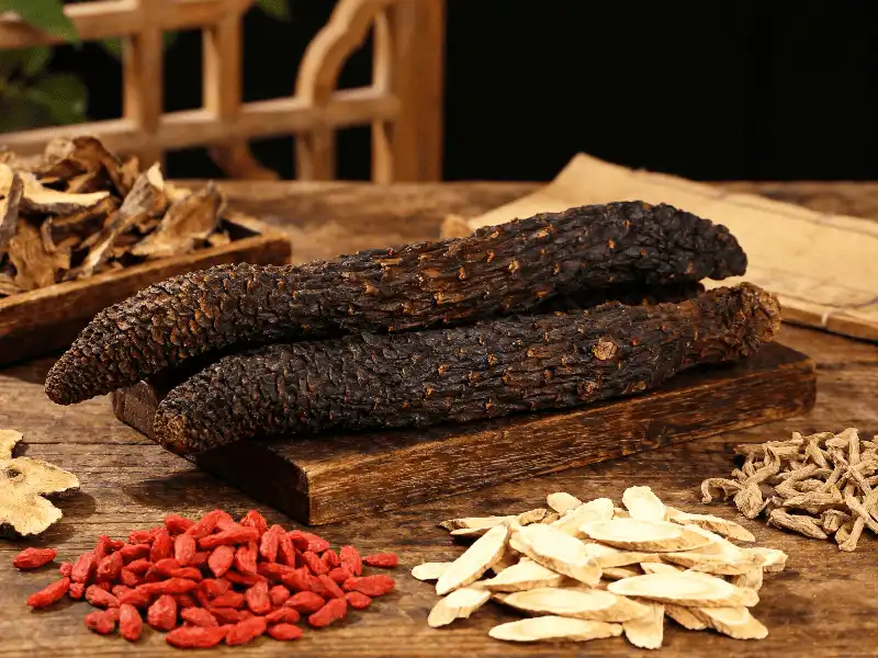 Top Benefits of Cistanche Extract Powder for Energy and Vitality
